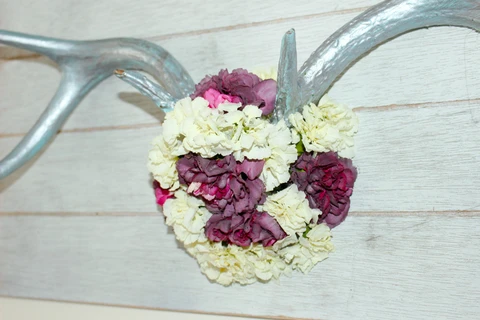 Used dried flowers to create beautiful antler art for your home!